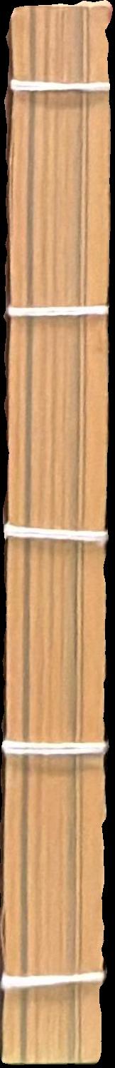 Asian art biennial : 2007 live spine