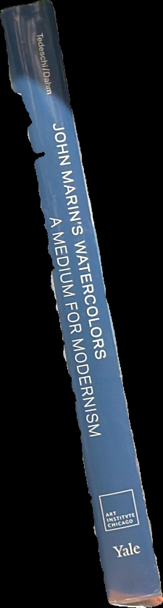 John Marin's watercolors : a medium for modernism live spine