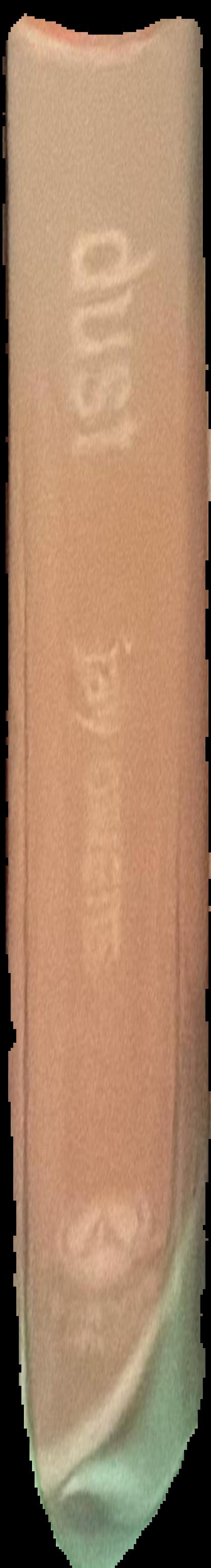 Dust : the modern world in a trillion particles / Jay Owens live spine