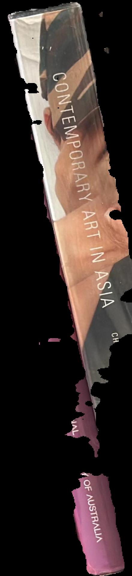 Contemporary art in Asia : a critical reader live spine