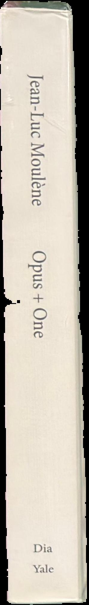 Jean-Luc Moulène : opus + one live spine