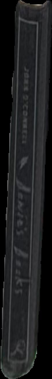 Bowie's books : the hundred literary heroes who changed his life live spine