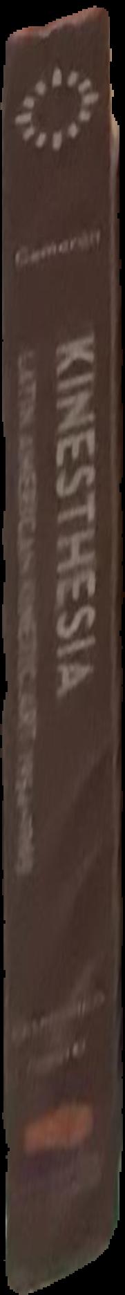 Kinesthesia : Latin American kinetic art, 1954-1969 live spine