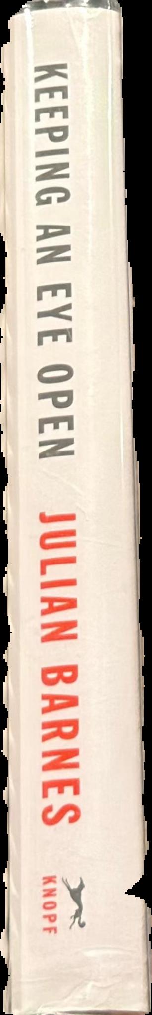 Keeping an eye open : essays on art live spine