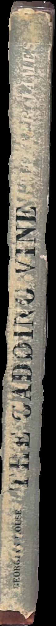 The gadding vine live spine