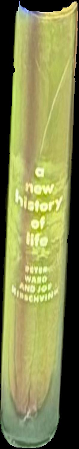A miscellany of wine / by C. W. Berry ; foreword by André Simon live spine