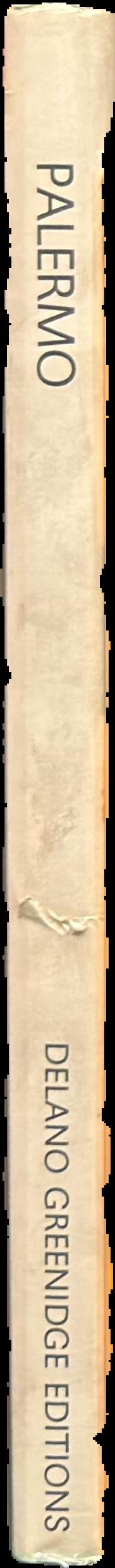 Blinky Palermo, 1943-1977 live spine