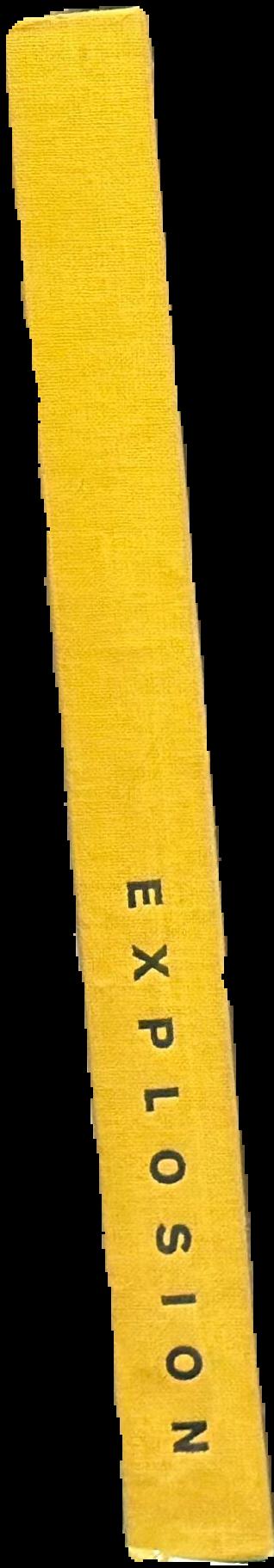 Three moments of an explosion : stories / China Miéville live spine