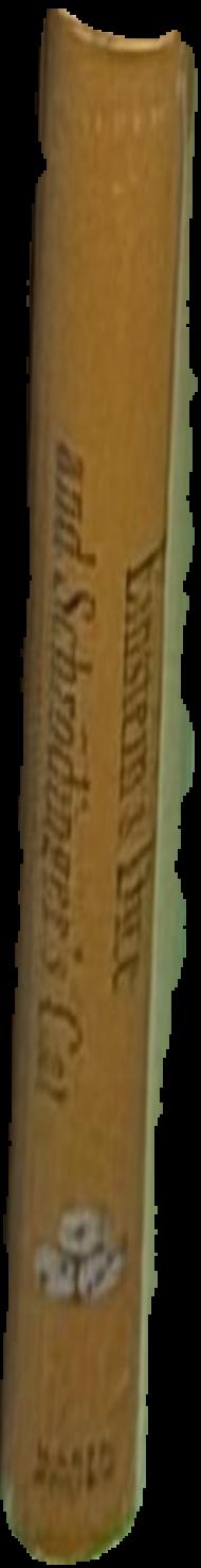 Dickens' London live spine