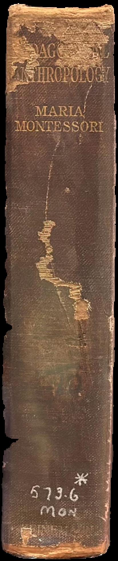 Pedagogical anthropology live spine