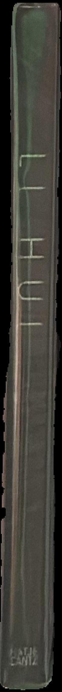 Small-great objects : Anni and Josef Albers in the Americas live spine