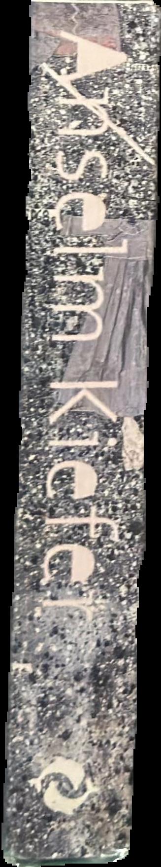 Anselm Kiefer live spine