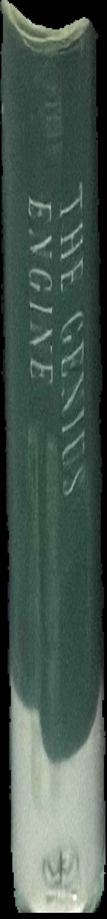 The genius engine : where memory, reason, passion, violence and creativity intersect in the human brain live spine