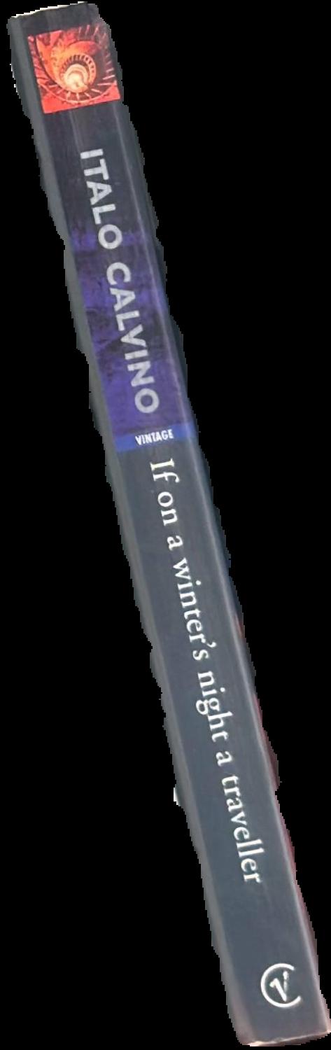 If on a winter's night a traveller live spine