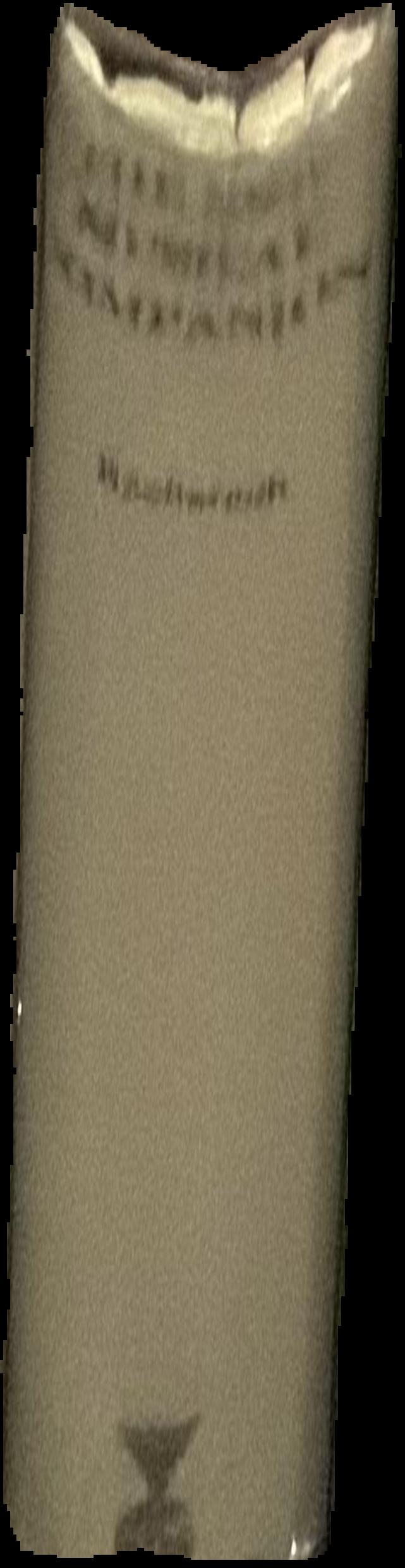 The British Museum live spine
