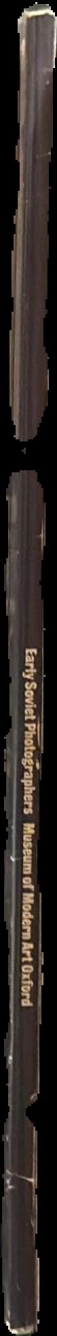 Early Soviet photographers live spine