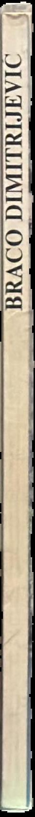 Braco Dimitrijevic : arbeiten/works 1968-1978 live spine
