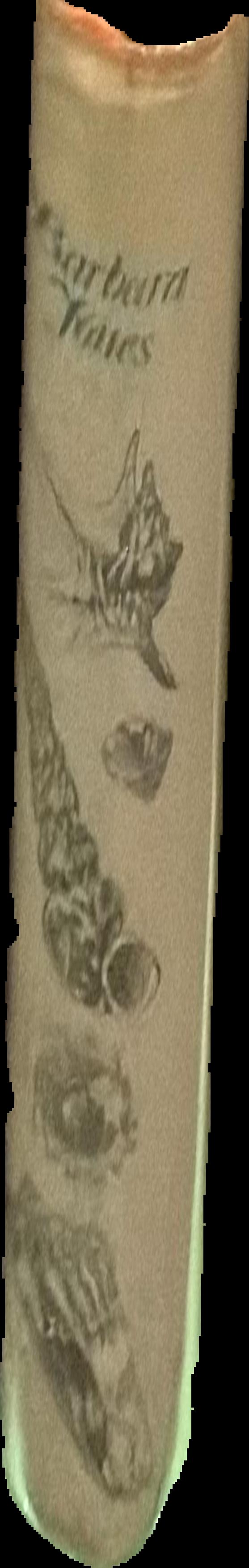 Darwin's backyard : how small experiments led to a big theory live spine
