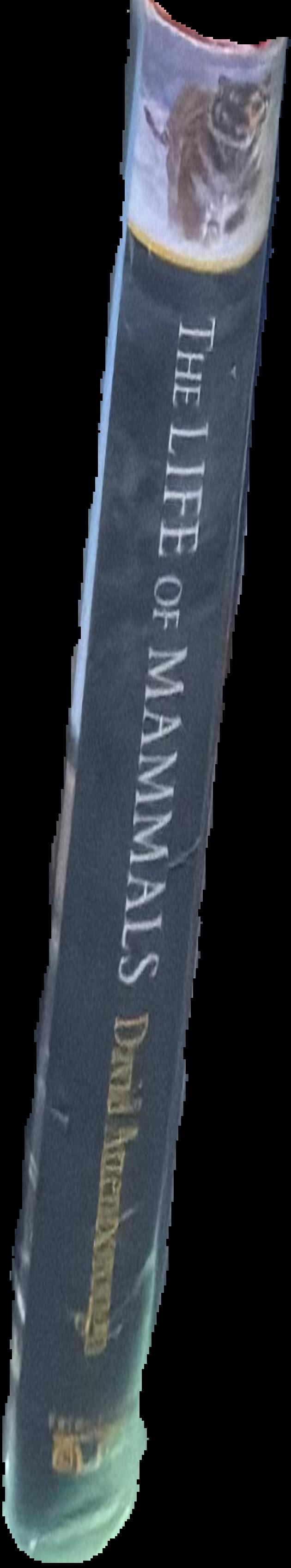 The life of mammals live spine