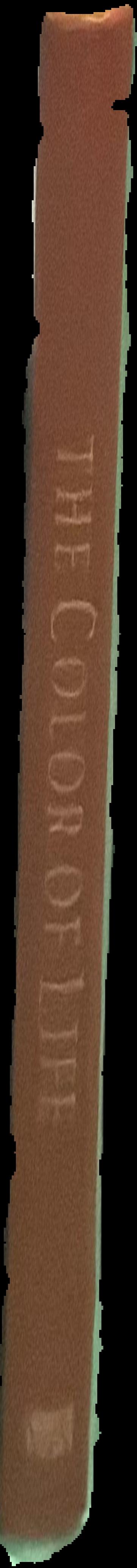Color science in the examination of museum objects : nondestructive procedures live spine
