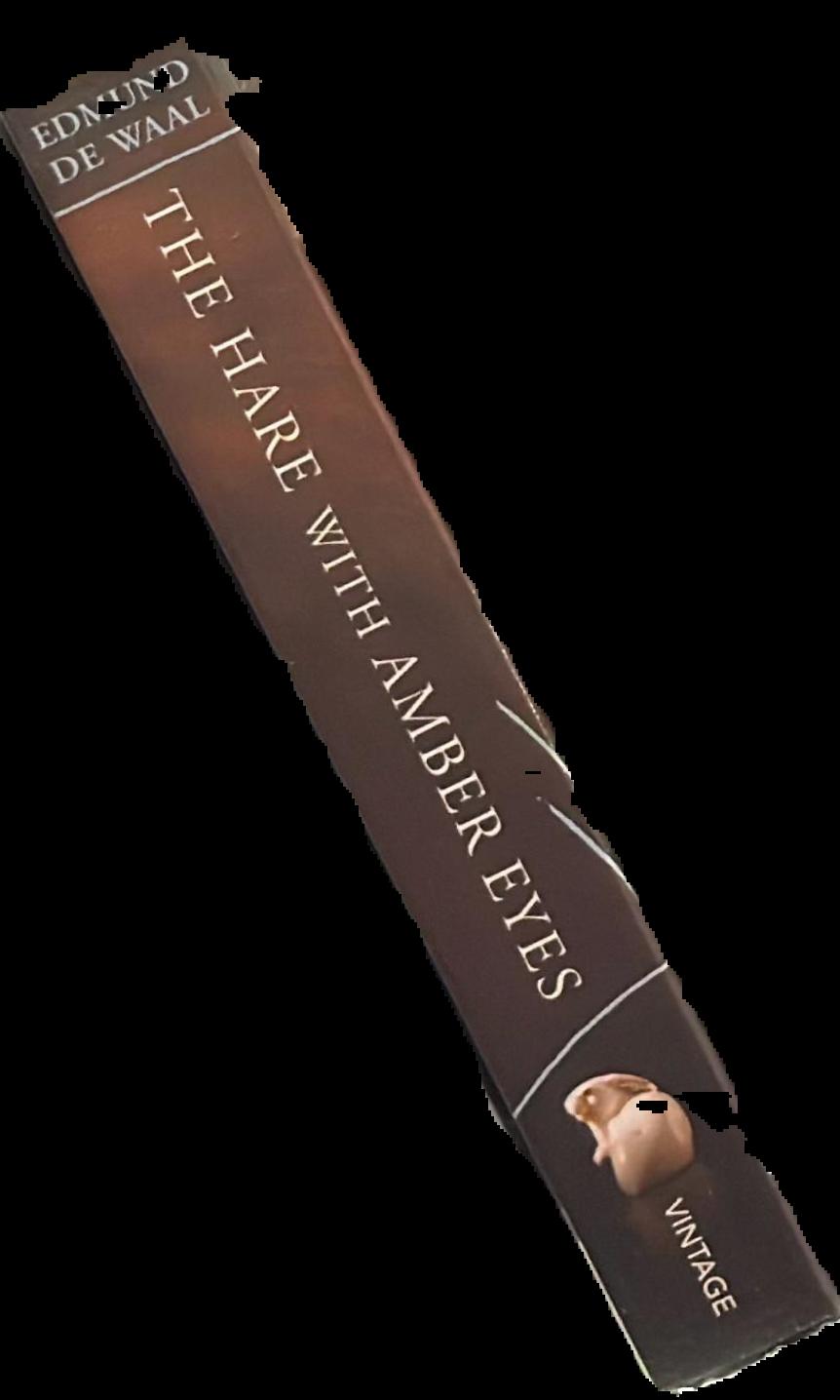 The hare with the amber eyes : a hidden inheritance live spine