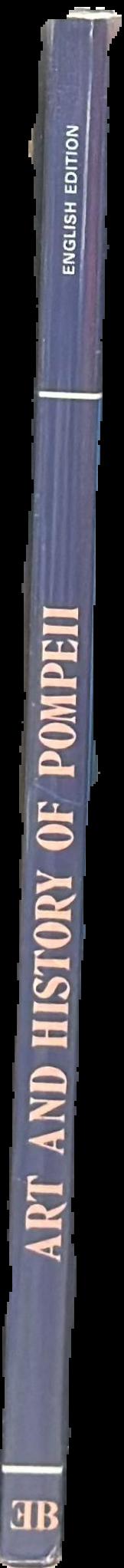 Art and history of Pompeii live spine