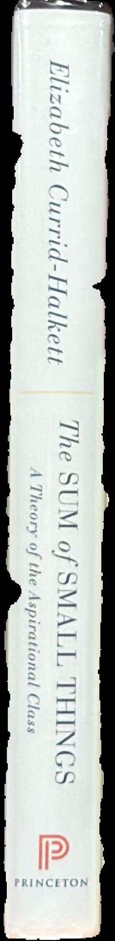 The sum of small things : a theory of the aspirational class live spine