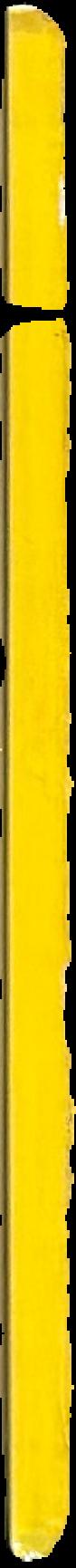 Canopic equipment in the Petrie Collection live spine