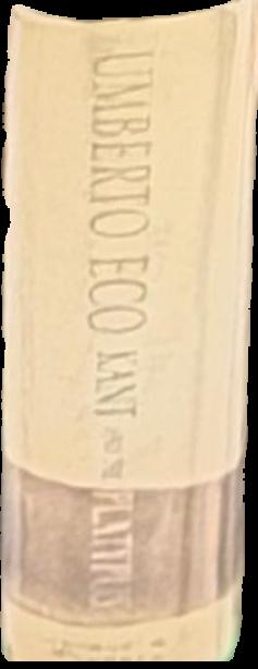 The mysterious flame of Queen Loana / Umberto Eco ; translated by Geoffrey Brock live spine