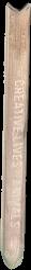 The creative lives of animals / Carol Gigliotti live spine