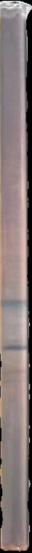 Borderline series live spine