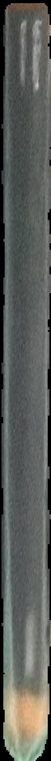 Zoo live spine