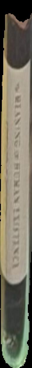 Shalom, Japan : a sabra's five years in the land of the rising sun live spine
