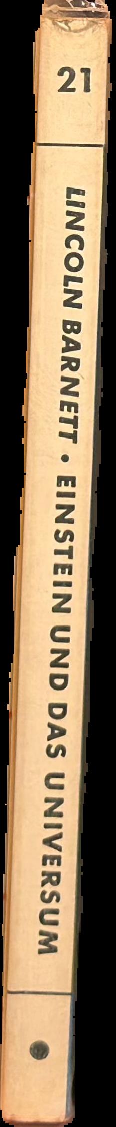 Einstein und das Universum live spine