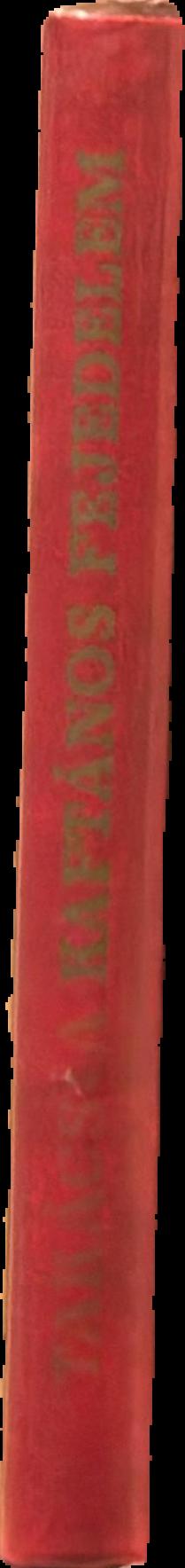 Constantinople and the Byzantine Empire live spine
