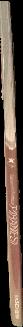 The private collection of William S. Reese : part one : Wednesday 25 May [2022] / Christie's live spine