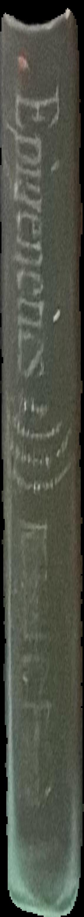 Wie vergewaltige ich einen Mann? live spine