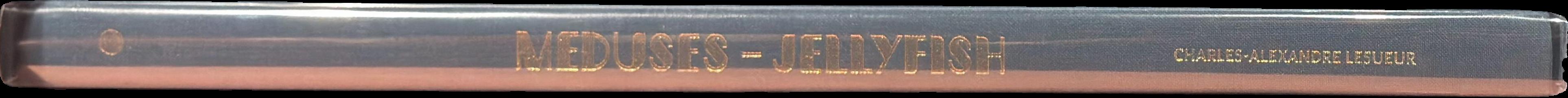 Charles-Alexandre Lesueur : meduses - jellyfish live spine