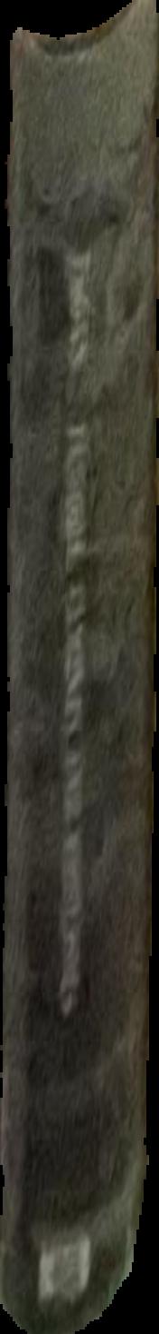 Cathy Staughton's wondrous imgainarium live spine