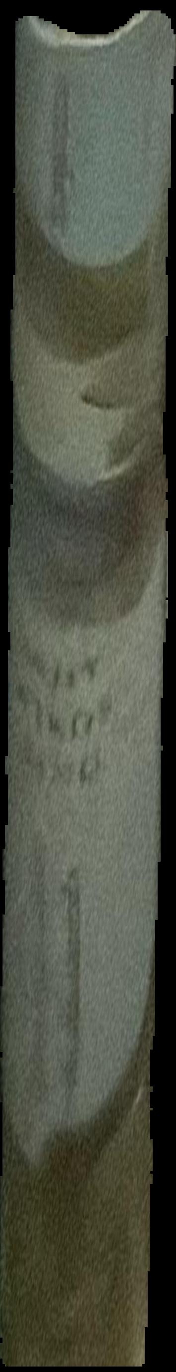 Cy Twombly : works on paper, January 8-30, 1988 live spine