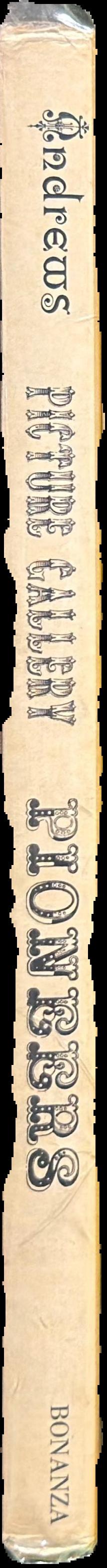 Picture gallery pioneers, 1850 to 1875 live spine