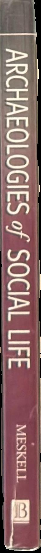 Archaeologies of social life : age, sex, class et cetera in ancient Egypt live spine
