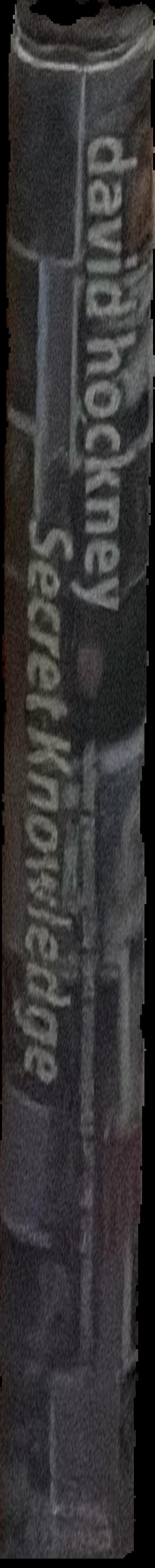 Secret knowledge : rediscovering the lost techniques of the old masters live spine