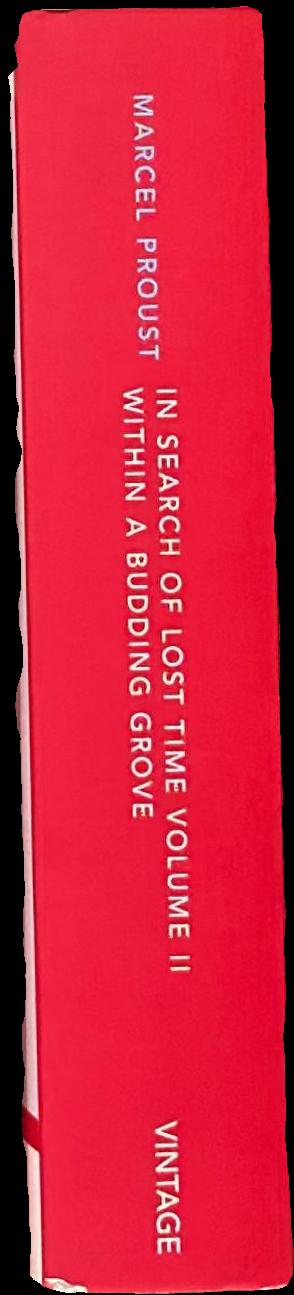 In search of lost time : volume II : within a budding grove live spine