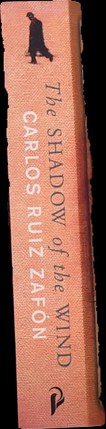 The shadow of the wind live spine