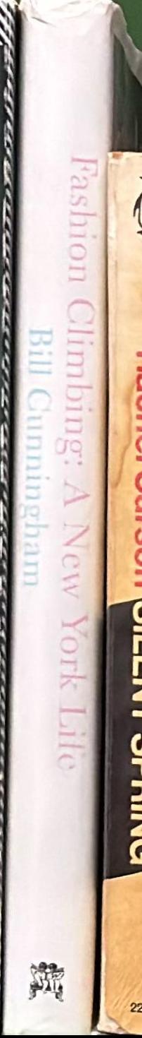 Fashion climbing : a new York life live spine