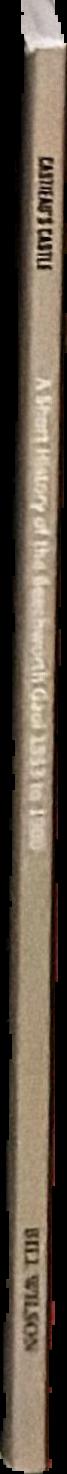 Castieau's castle : a short history of the Beechworth gaol 1853 to 1900 live spine