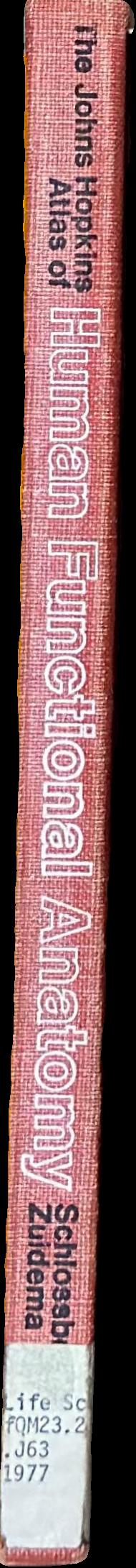 The Johns Hopkins atlas of human functional anatomy live spine