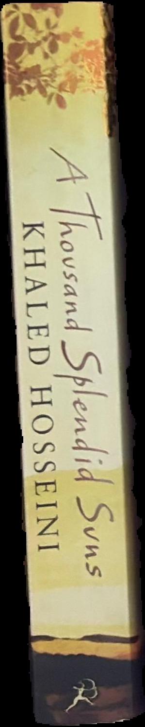 A thousand splendid suns live spine