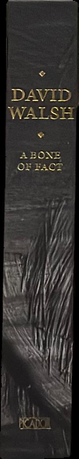 A bone of fact live spine